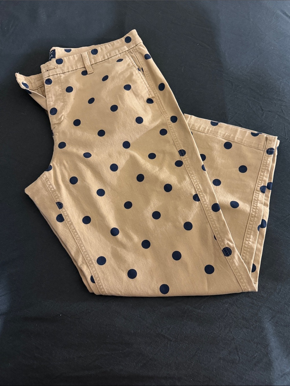 J. Crew Beige Straight-Leg Pants with Navy Polka Dots - Picture 3 of 3